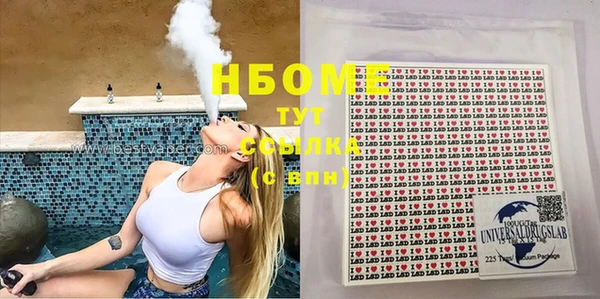 крисы Горняк