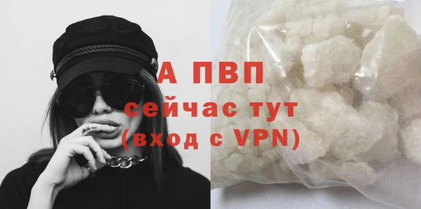 крисы Горняк