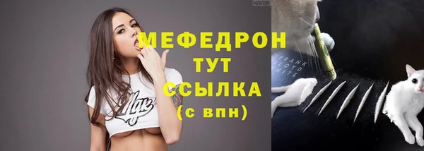 крисы Горняк