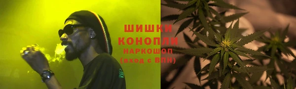 крисы Горняк