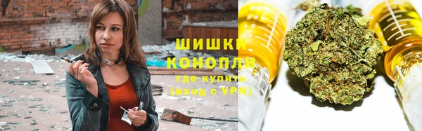 крисы Горняк