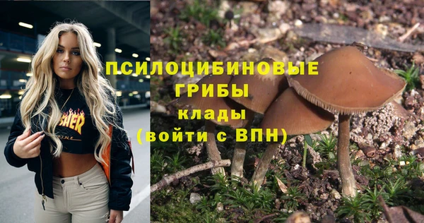 крисы Горняк