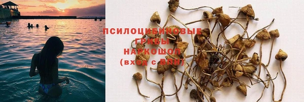 гашик Горнозаводск
