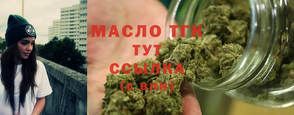 крисы Горняк