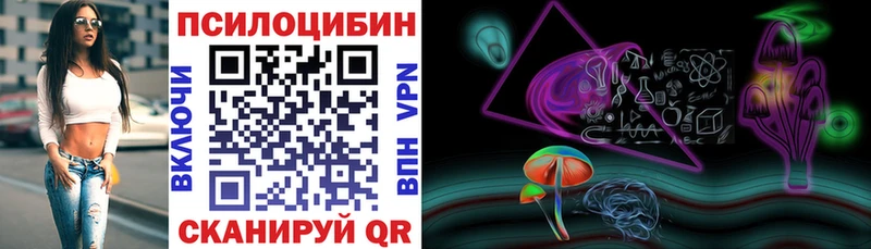 где продают   Дигора  Галлюциногенные грибы мицелий 